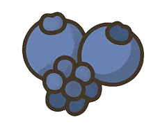 Arándanos y mora para perros – antioxidantes naturales para el sistema inmune