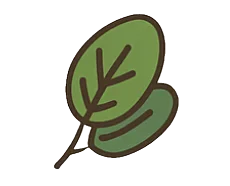 Espinaca para perros – vegetal rico en hierro y antioxidantes naturales