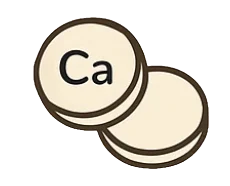 Fosfato y carbonato de calcio – aporte esencial para huesos fuertes