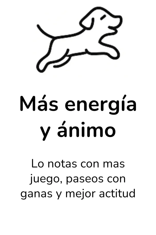 Mas energia animo