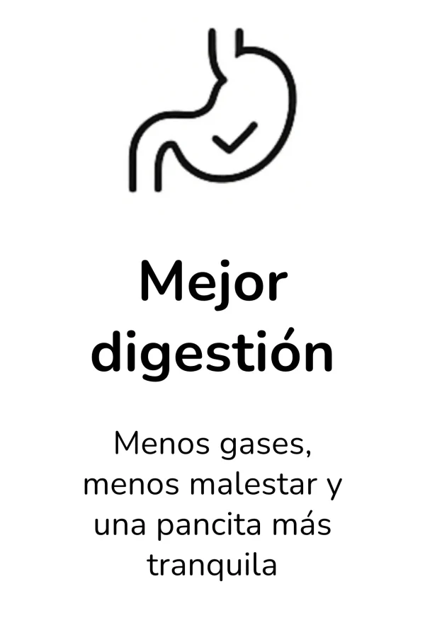 Mejor digestion