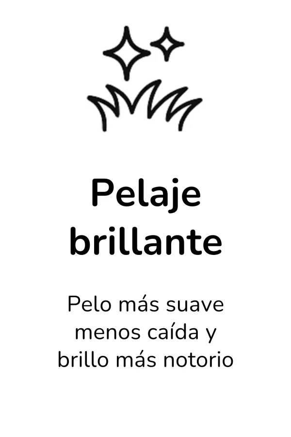 Pelaje brillante